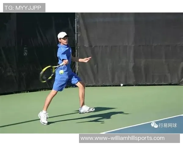 深度探讨吴娜的网球人生与职业生涯的精彩瞬间与挑战