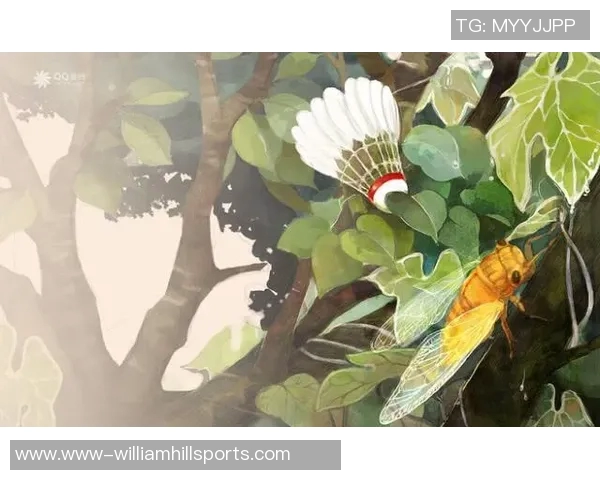 羽毛球生涯的追寻与坚持赵伟的奋斗故事与心路历程