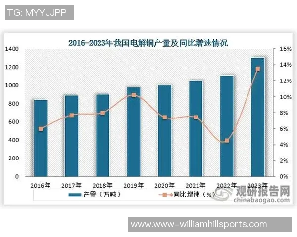 武汉羽毛球队灵活性分析与战术调整的深度探讨实时数据